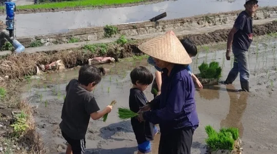 地元の農家さんと一緒に田植え体験‼